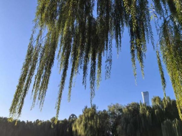 场外配资炒股 昼夜温差较大！北京今日最高26℃，最低15℃